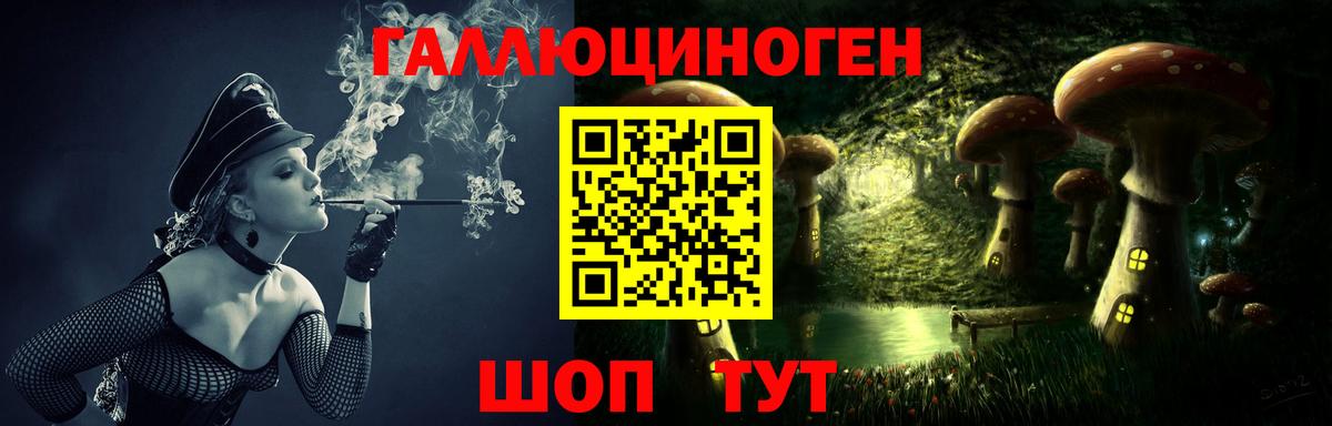 Гатчина  Галлюциногенные грибы ЛСД  Вход с VPN 